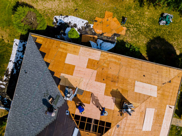 Best Roof Gutter Cleaning  in Lewiston, ME